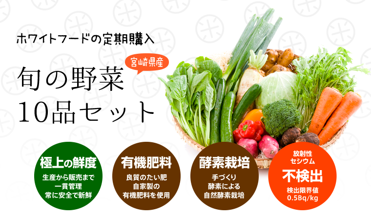 宮崎県産 旬の野菜10品セット